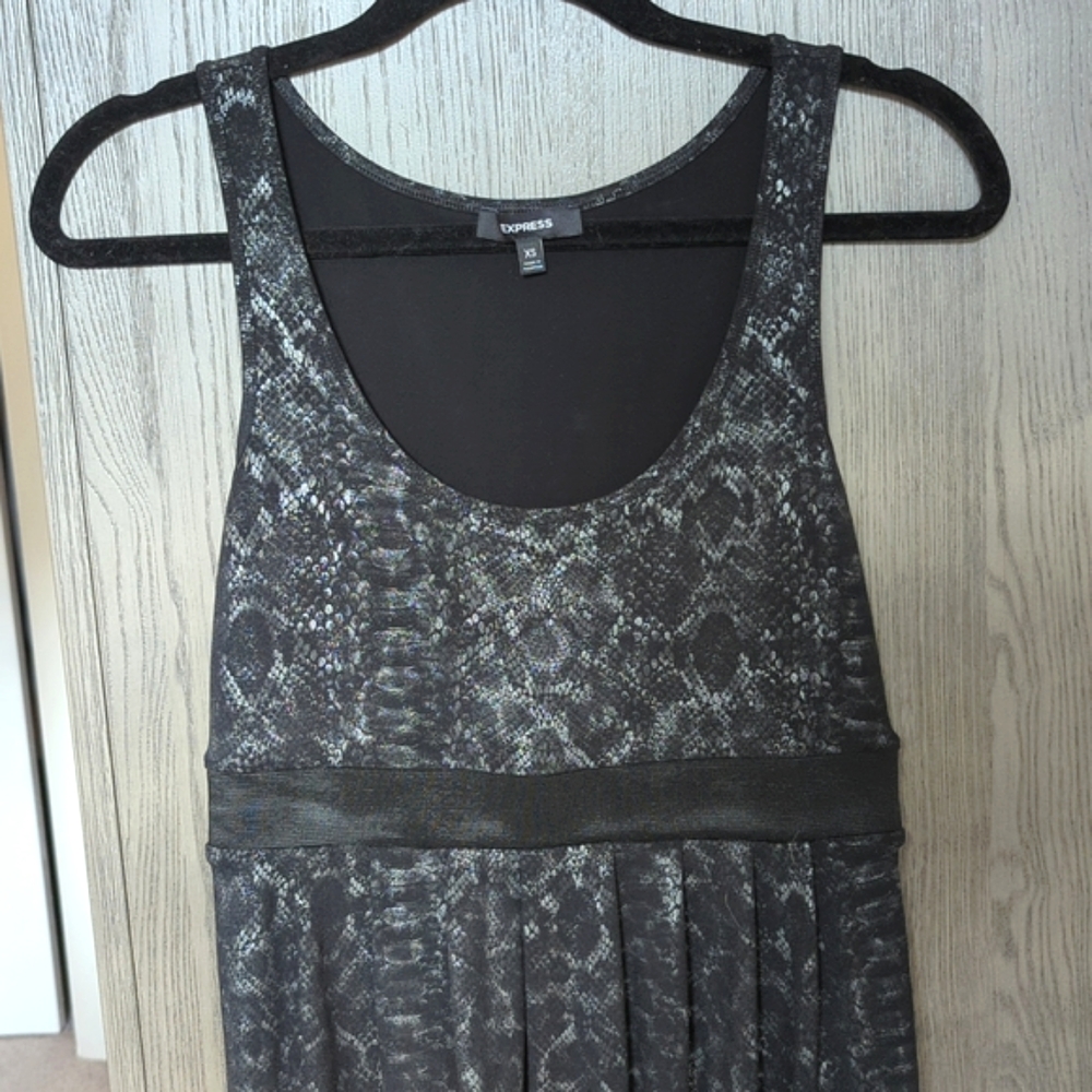 Express Dress - Picture 2 of 3